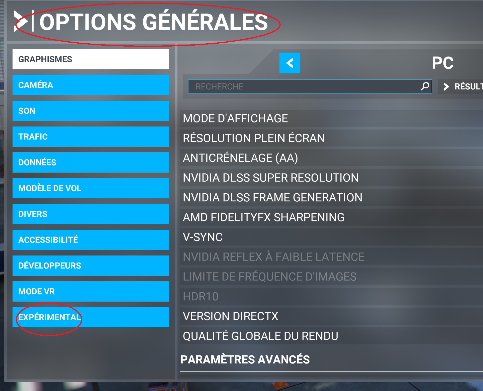 MSFS 2020 Options Générales